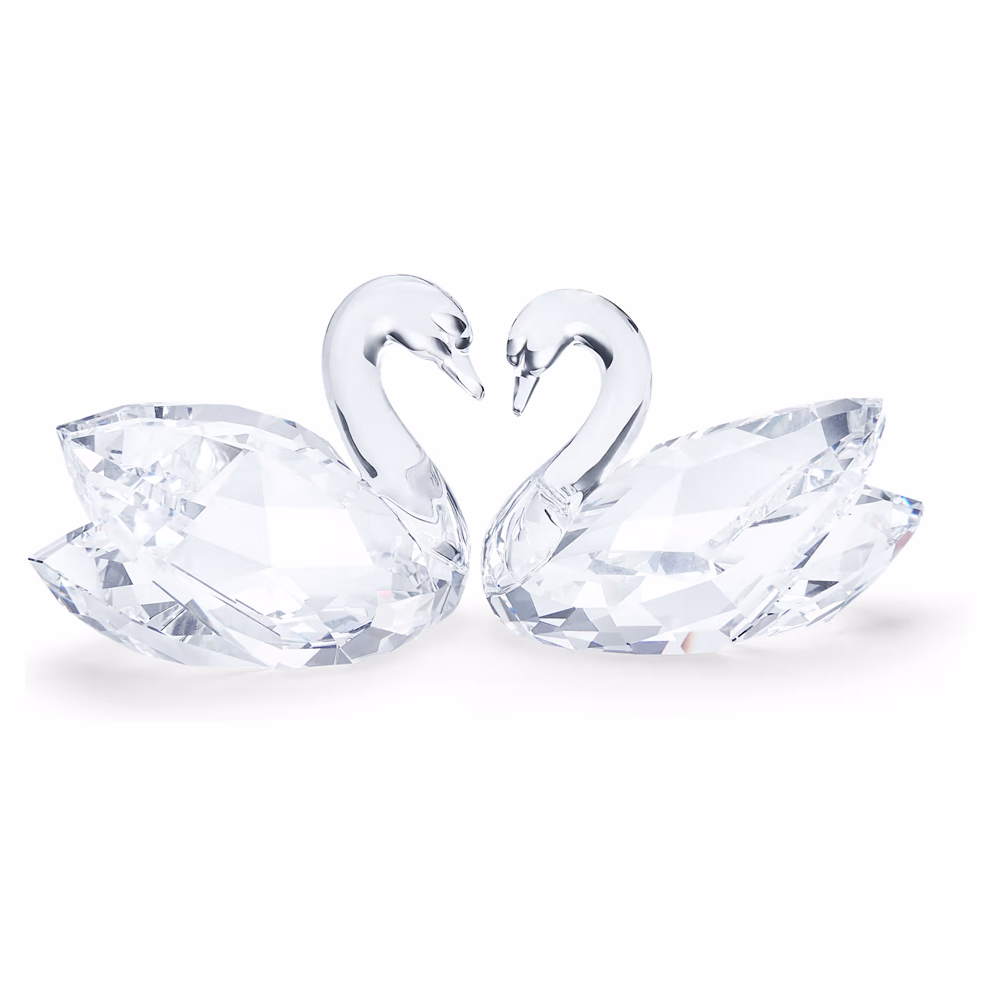 6911ae6c036e9_swan-couple-swarovski-5728084 (1).avif